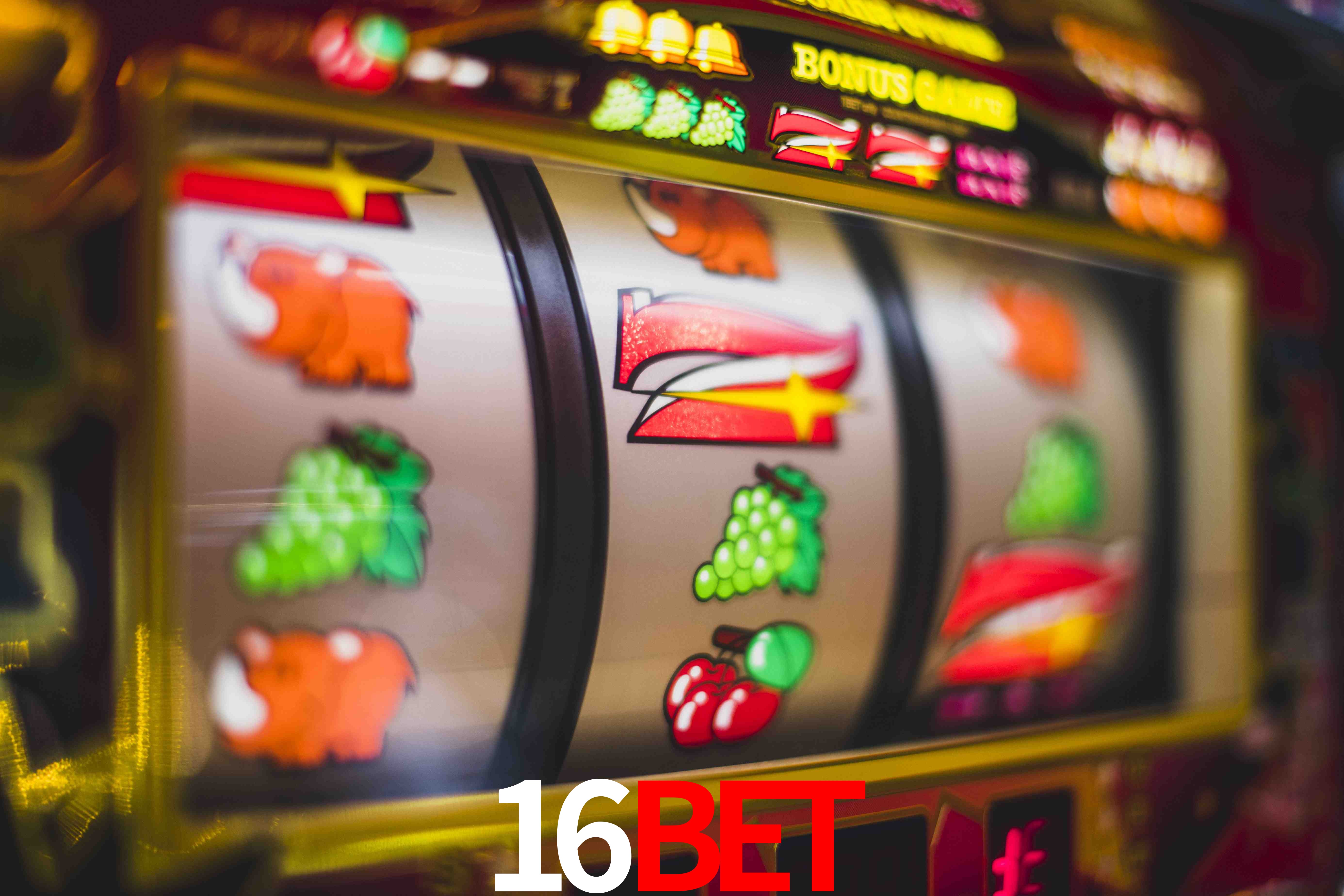 Sports Statistics 16bet